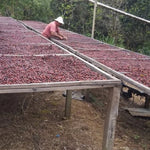 Agro Hellen. Café de Costa Rica. Natural - Artisancoffee