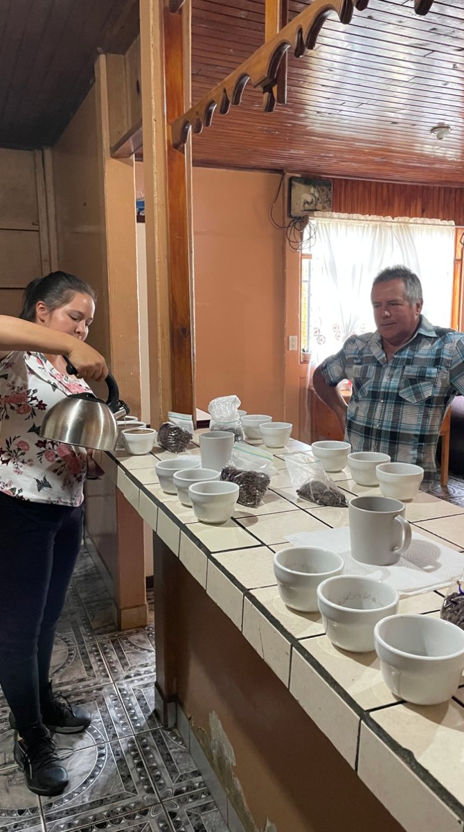 Agro Hellen. Café de Costa Rica. Natural - Artisancoffee