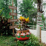 Café de Honduras. Finca Liquidambar. Natural - Artisancoffee