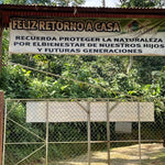 Finca Irlanda. Café de Méjico. Chiapas. Lavado - Artisancoffee