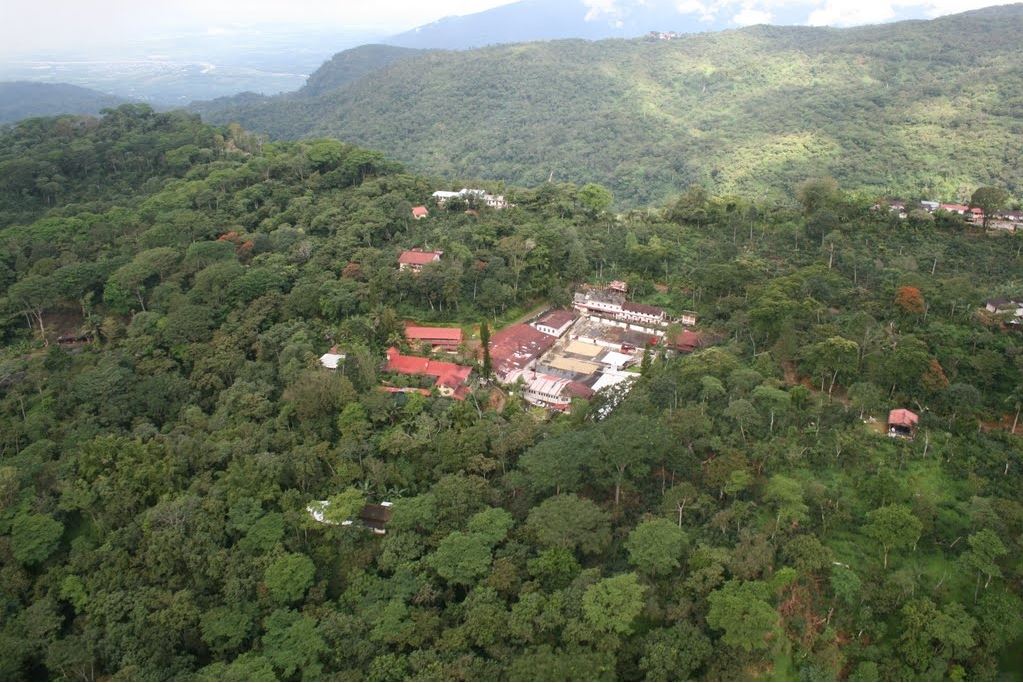 Finca Irlanda. Café de Méjico. Chiapas. Lavado - Artisancoffee