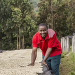 Gakenke. Café de Rwanda. Lavado - Artisancoffee