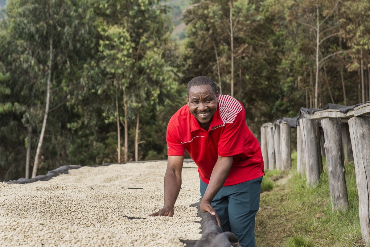 Gakenke. Café de Rwanda. Lavado - Artisancoffee