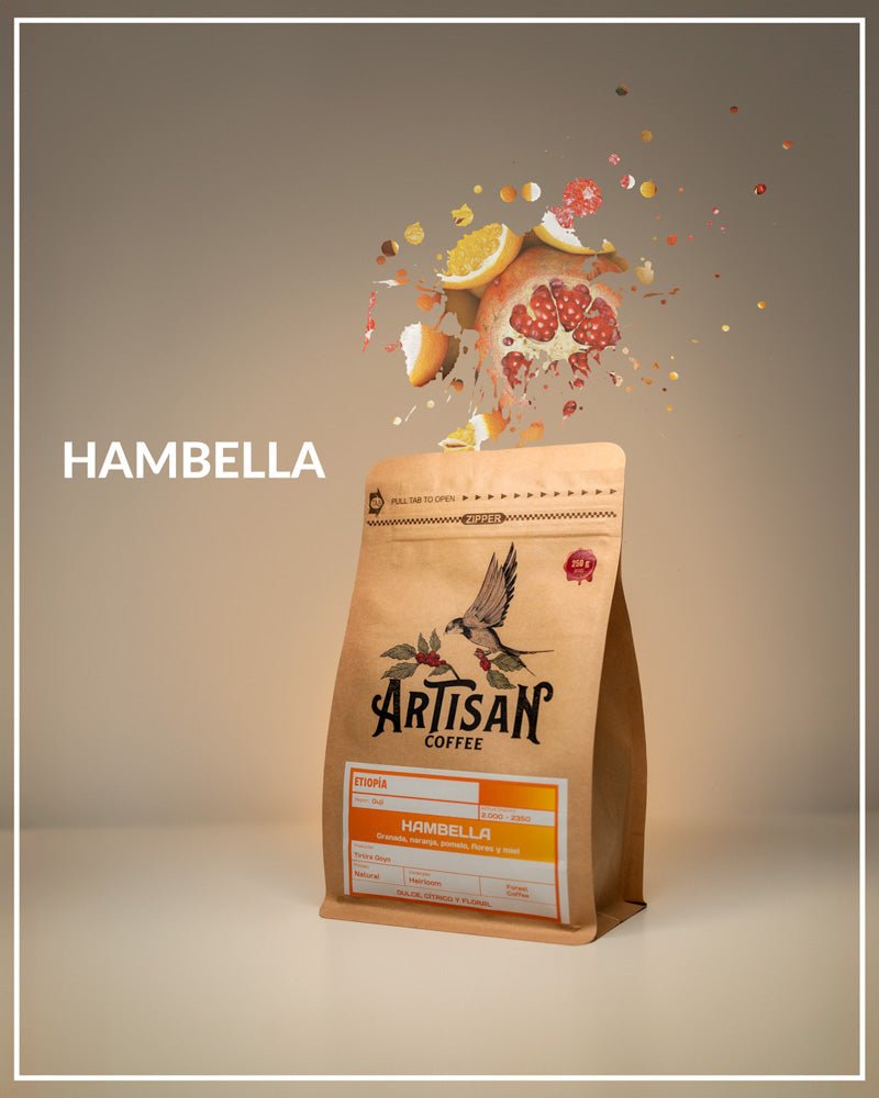 Hambella. Café de Etiopía. Natural - ArtisancoffeeLos cafés naturales etíopes, como nuestro Etiopía Hambella, son conocidos por sus perfiles de sabor vibrantes y distintivos, a menudo descritos como afrutados y similares al vino, con toques de chocolate y bayas dulces. Esta riqueza y complejidad los convierten en una elección preferida de muchos de los "locos" del café de especialidad.