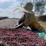 Uraga Tome. Café de Etiopía. Natural - Artisancoffee