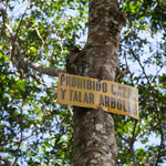 Villa Galicia. Café de El Salvador. Natural. Secado extendido Pineapple - Artisancoffee