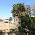 Villa Galicia. Café de El Salvador. Natural. Secado extendido Pineapple - Artisancoffee