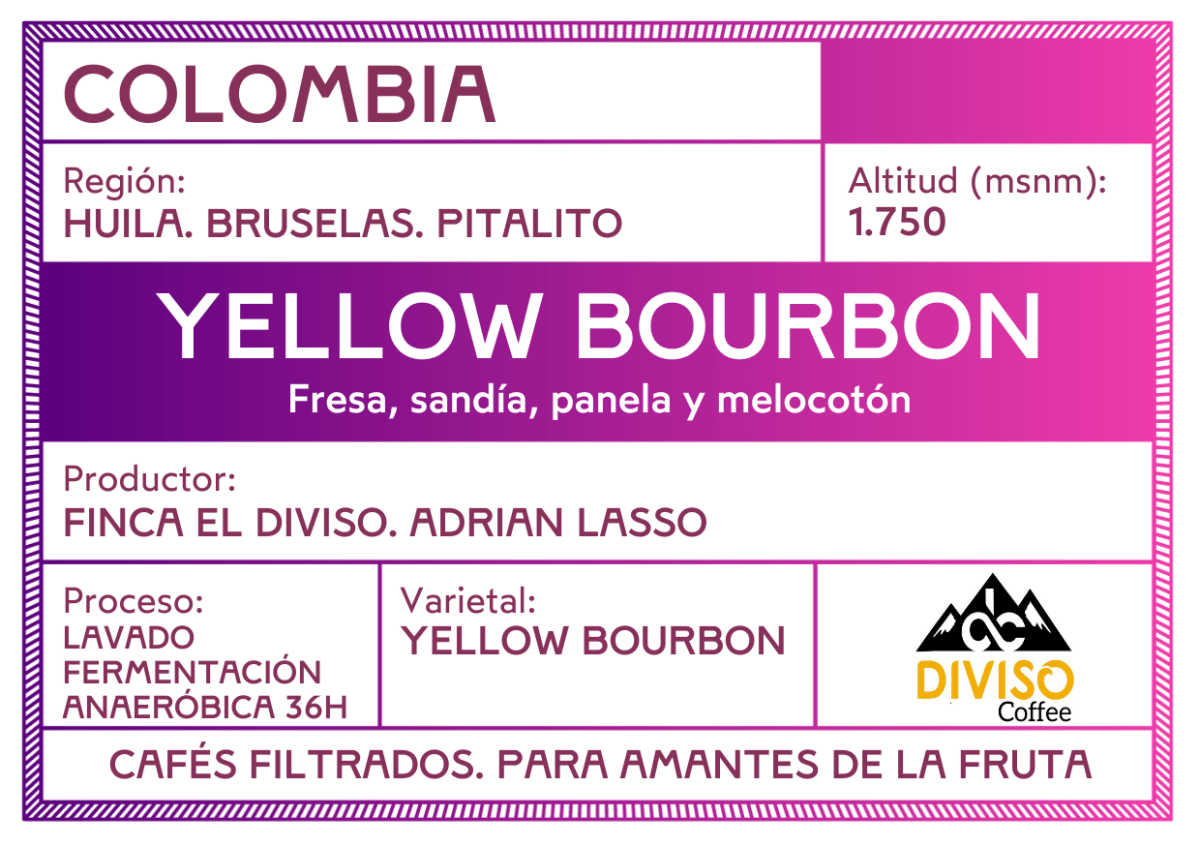 Yellow Bourbon. Café de Colombia. Lavado Anaeróbico 36h - Artisancoffee