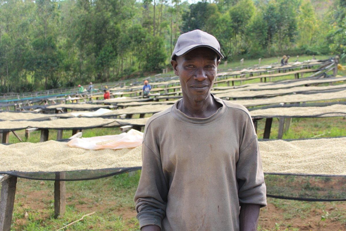 Café de Burundi. Nemba - Artisancoffee