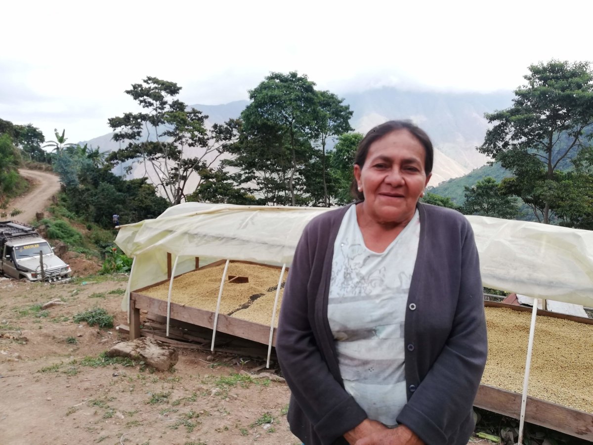 Café de Colombia. Women's Power - Artisancoffee