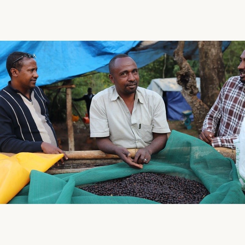 Café de Etiopía. Beshasha. - Artisancoffee
