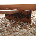 Café de Guatemala. Finca La Bolsa. Lavado - Artisancoffee