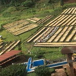 Café de Rwanda. Gatare - Artisancoffee