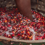 Café de Rwanda. Rwingyoni - Artisancoffee