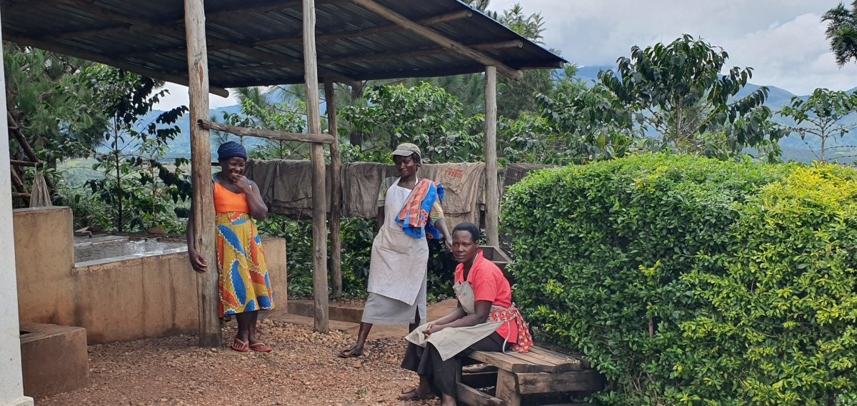 Café de Uganda. Kingha Collective - Artisancoffee