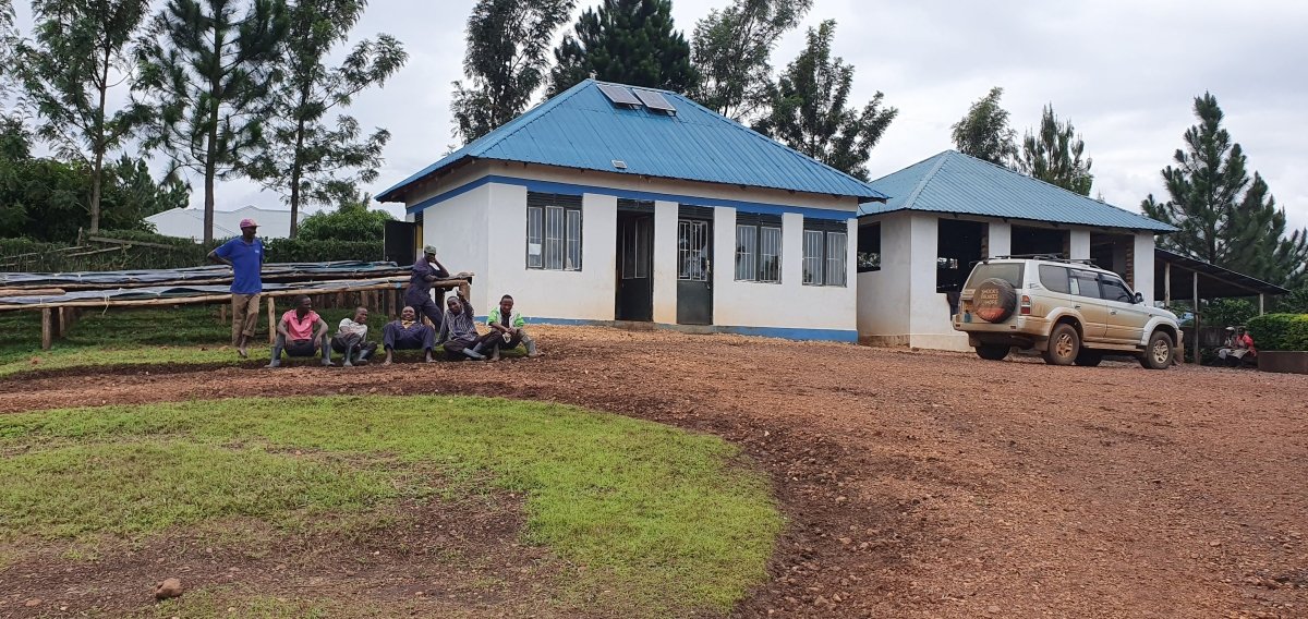 Café de Uganda. Kingha Collective - Artisancoffee