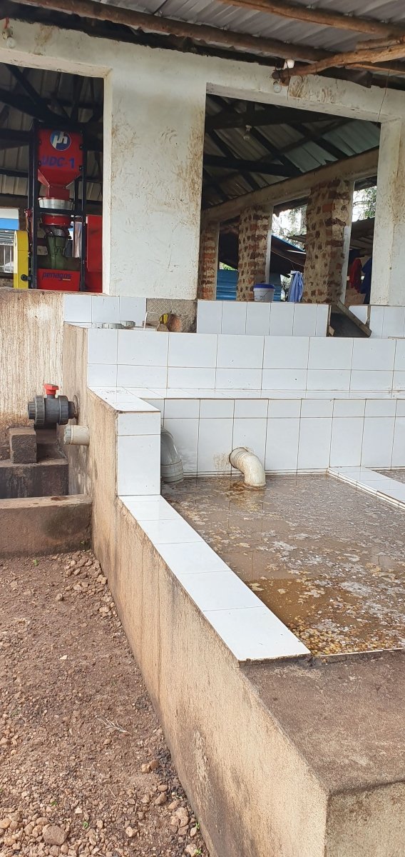Café de Uganda. Kingha Collective - Artisancoffee