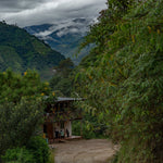 Café Descafeinado Sugar Cane de Colombia. La Fábrica - Artisancoffee