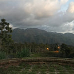 Café Descafeinado Swiss Water de Honduras - Artisancoffee