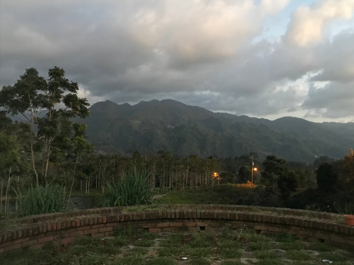 Café Descafeinado Swiss Water de Honduras - Artisancoffee