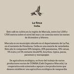 Café ecológico de Honduras. Finca Ceiba - Artisancoffee