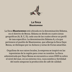 Daye Bensa. Etiopía - Artisancoffee