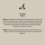 El Plátano. Perú - Artisancoffee