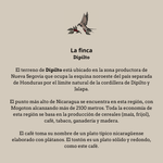 El Tostón. Nicaragua - Artisancoffee