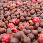 Finca el Jardín. Natural Mora. Café de Colombia - Artisancoffee