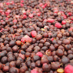 Finca el Jardín. Natural Mora. Café de Colombia - Artisancoffee