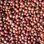 Finca el Jardín. Natural Mora. Café de Colombia - Artisancoffee