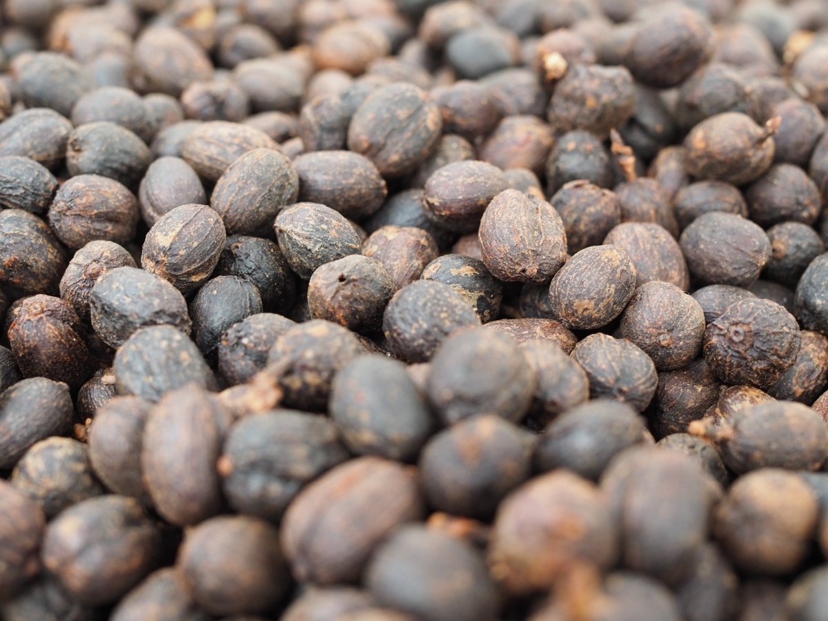 Finca el Jardín. Natural Mora. Café de Colombia - Artisancoffee