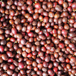 Finca el Jardín. Natural Piña. Café de Colombia - Artisancoffee
