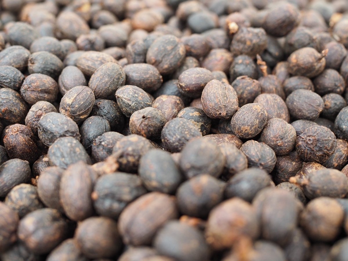 Finca el Jardín. Natural Piña. Café de Colombia - Artisancoffee