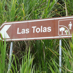Las Tolas. Café de Ecuador. Fermentación Carbónica - Artisancoffee
