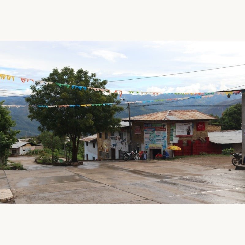 Marcial Olivera. Café de Perú - Artisancoffee