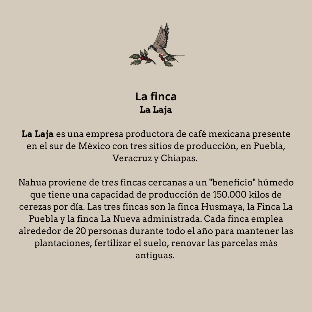 Nahua. Mexico - Artisancoffee