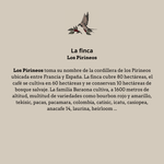 Pirineos. Bourbon Naranja. El Salvador - Artisancoffee
