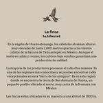 Quetzalito. Guatemala - Artisancoffee