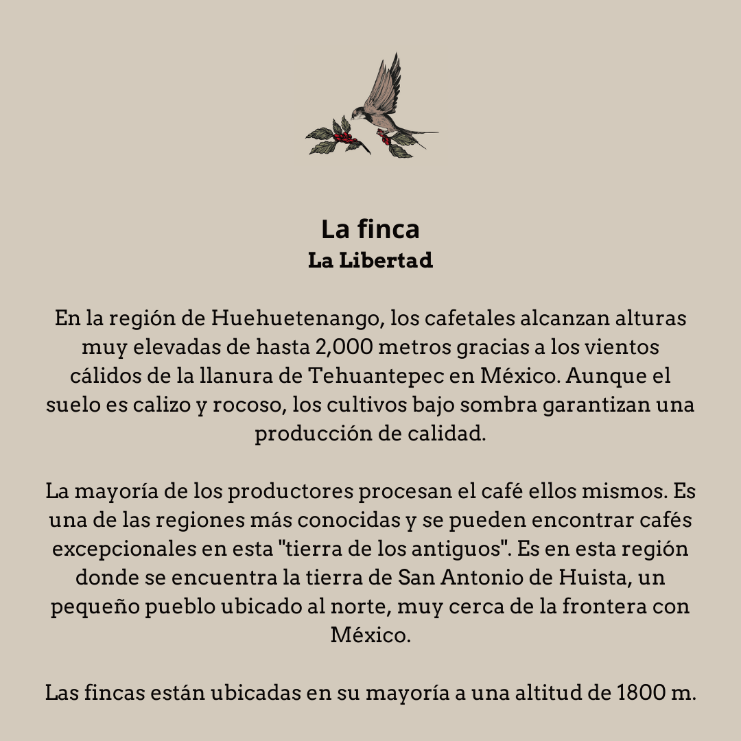 Quetzalito. Guatemala - Artisancoffee