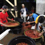 Radiophare. Café de Indonesia - Artisancoffee