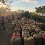 Santa Elisa. Café de Guatemala - Artisancoffee