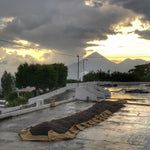 Santa Elisa. Café de Guatemala - Artisancoffee