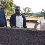 Suke. Café de Etiopía. Natural - Artisancoffee