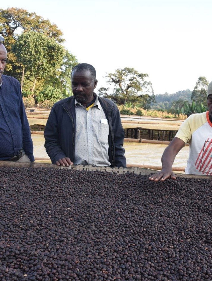 Suke. Café de Etiopía. Natural - Artisancoffee