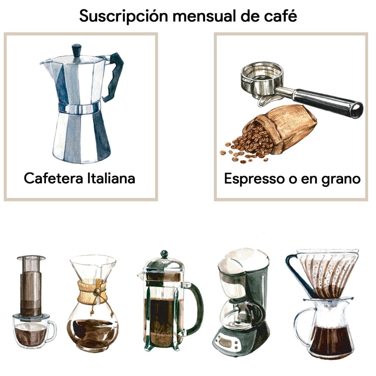 Suscripción Mensual de Café. Recomendable para cafeteras espresso y ca –  Artisancoffee