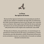 Tarrazu. Costa Rica - Artisancoffee