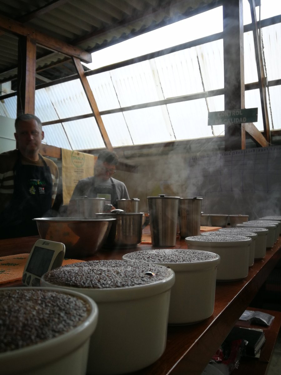 Timbuyacu. Café de Perú - Artisancoffee