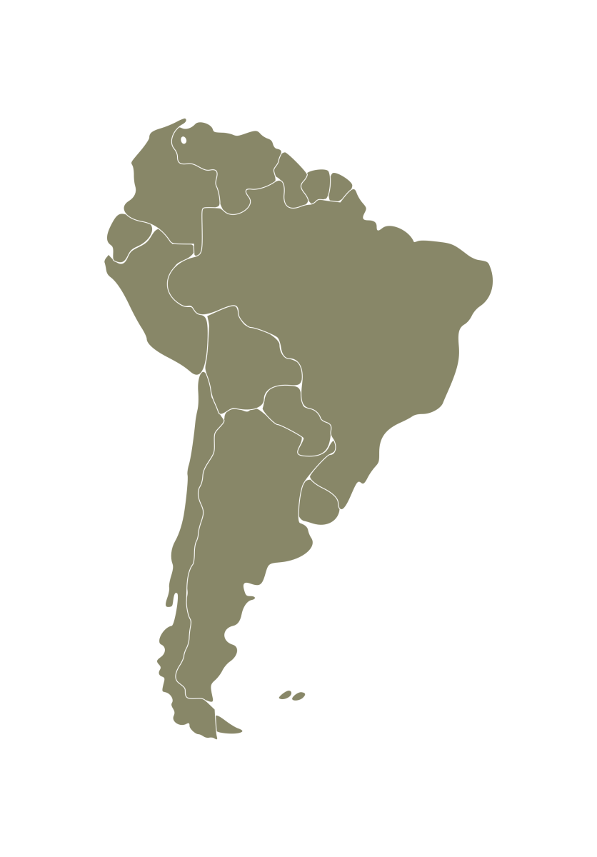 Cafés de Sudamérica - Artisancoffee