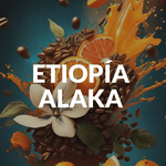 Alaka. Café de Etiopía, Guji. Lavado - Artisancoffee